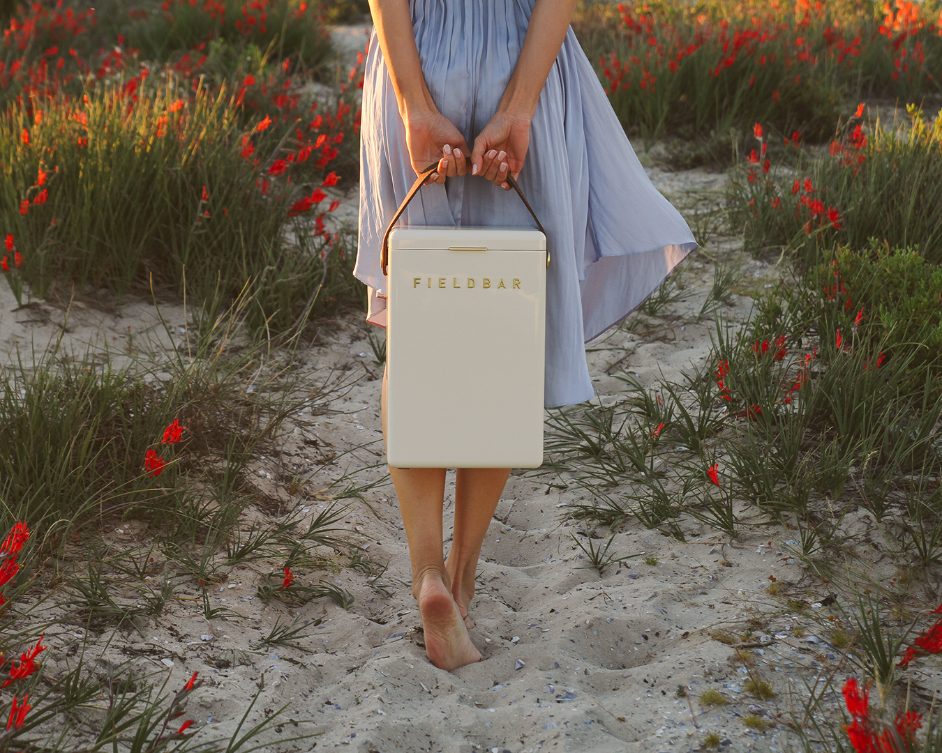 Drinks Box Cooler