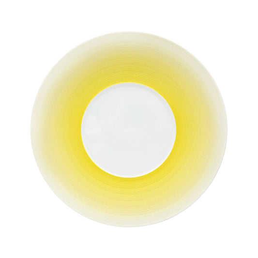 HEMISPHERE - Dinner plate