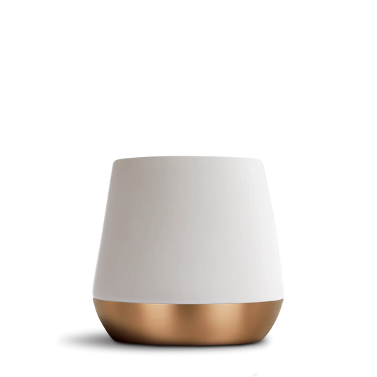 Joey Double Wall Ceramic Mugs