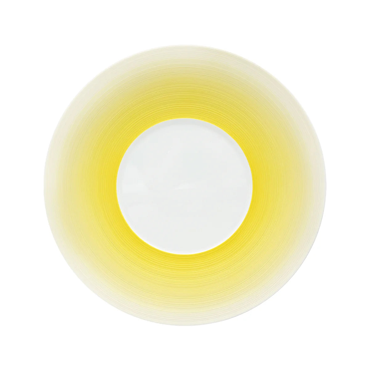 HEMISPHERE - Dinner plate